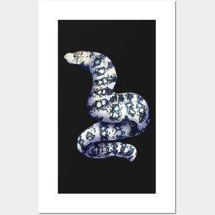 Cozy Snowflake Moray Eel Posters and Art